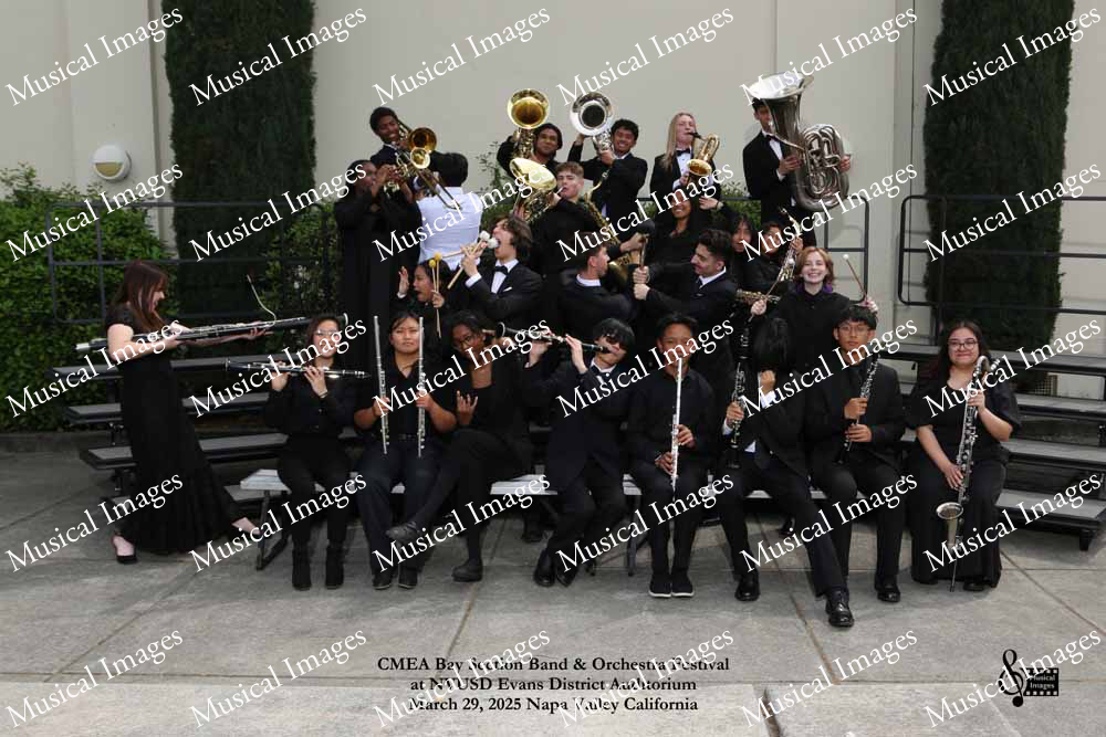Musical Images